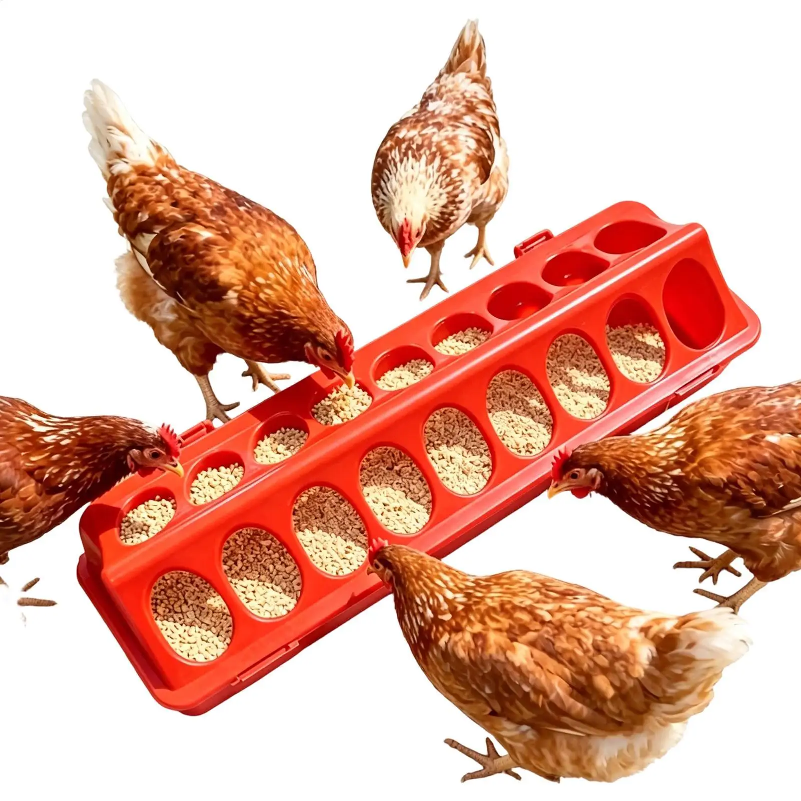 Comedero de Múltiples Orificios para Pollitos, Comedero Anti-Desperdicio para Aves de Corral, para Gallinas, Codornices y Gallos, Accesorio para Granjas