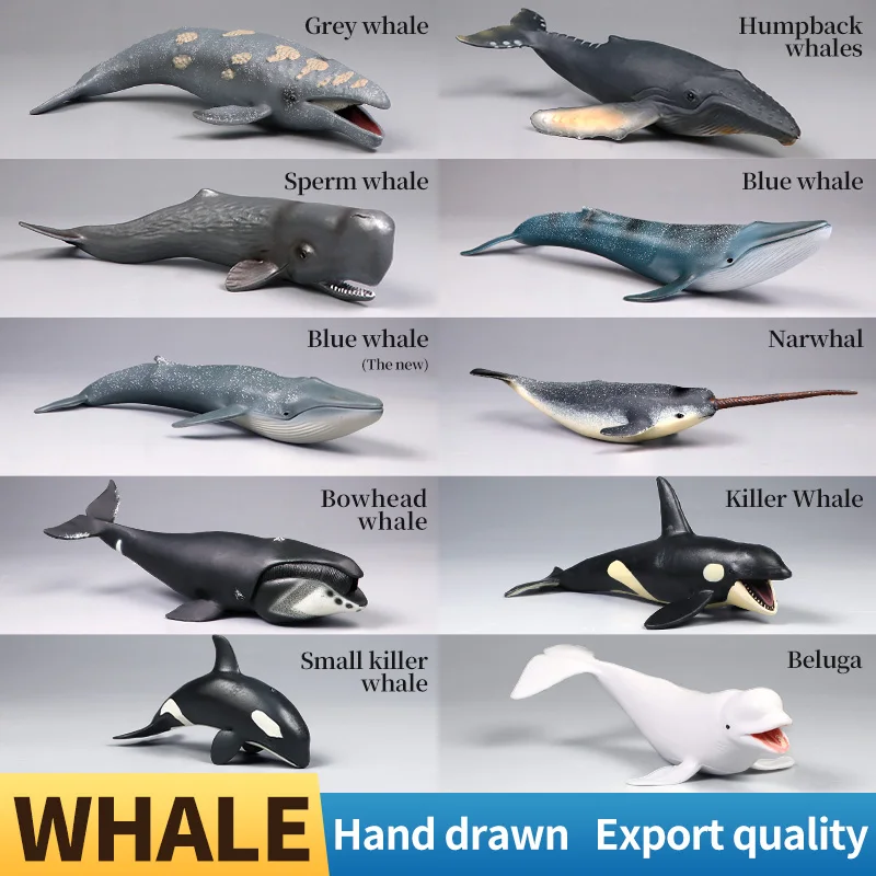 Duża figurka wieloryba, solidny, realistyczny model zwierzęcia morskiego do kolekcji, dekoracji, zestaw do zabawy, prezent.