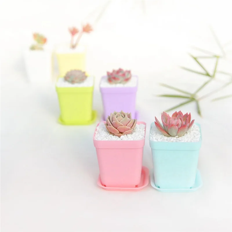 

F-F Mini Colorful Flower Pots, Plastic Flower Pots, Succulent Flower Pots (Random Colors)
