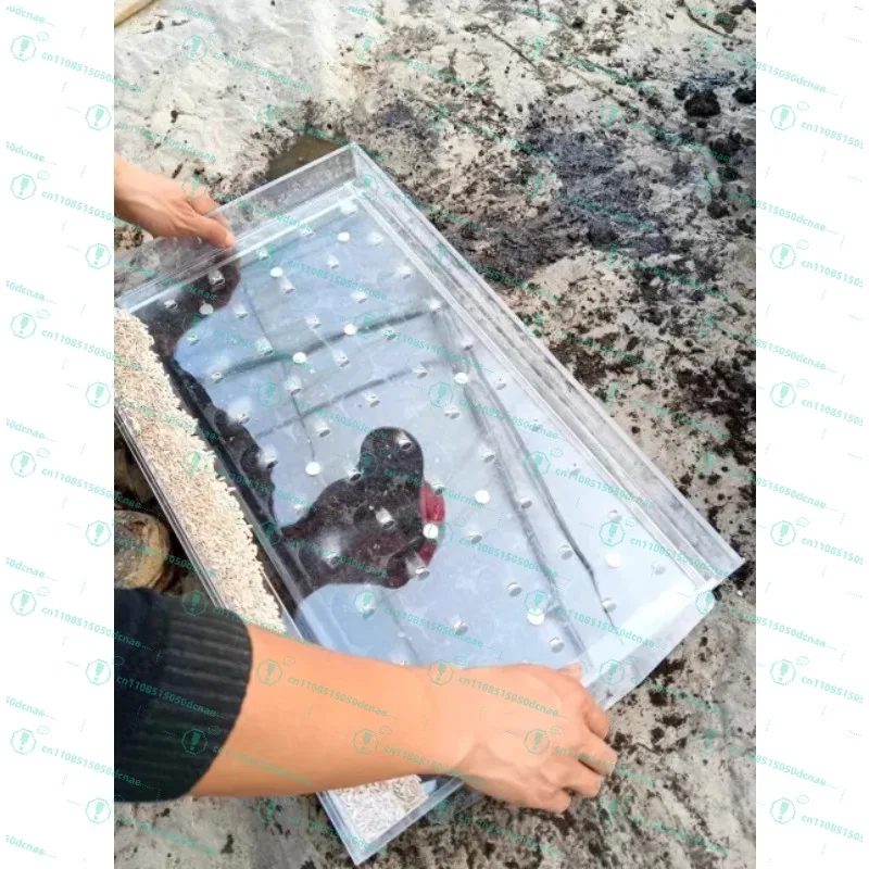 Hole plate Seedling device Vegetable tobacco seed Pepper flue-cured tobacco seeder Floating plate Sowing artifact Seed machine
