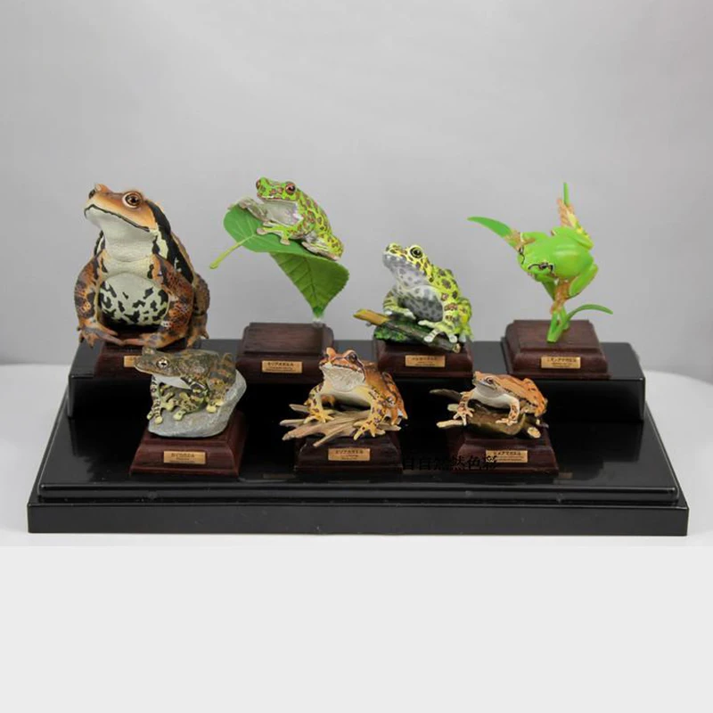 Genuino Ikimon Amphibian Toad Edición Especial Gashapon - Amphibian Verde, Platycodon Amphibian, Sailfish Amphibian Pantalla 3D