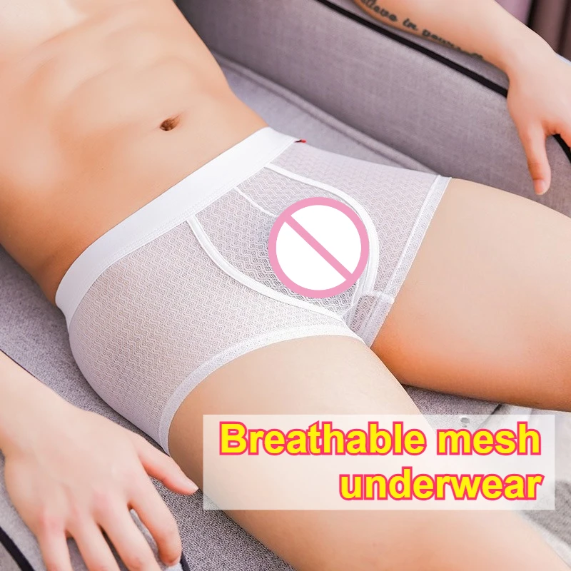 Men's Breathable Sexy See Through Boxers Summer Fast Dry Hollow Out Shorts Male Elastic U-Pouch Panties Lounge Mesh Underwear
