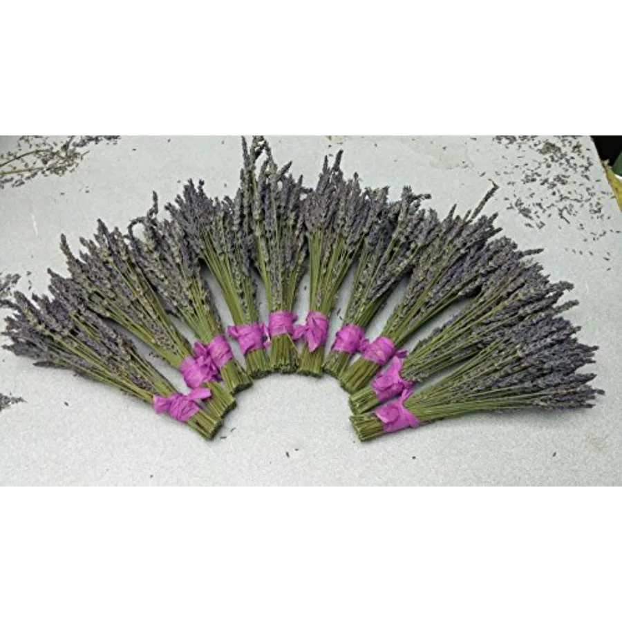 

Сушеные пучки лаванды Findlavender, 12-16 дюймов, натуральные, для декора дома и ароматизации помещений, упаковка из 10 пучков