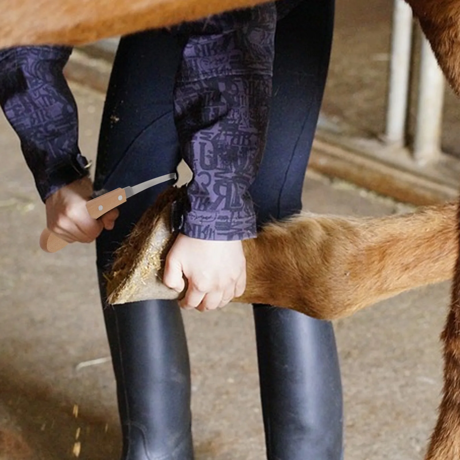 

2Pcs Horse Hoof Cutter Set Professional Hoof Trimming Tool Sharp Edge Portable Design for Stable Grooming Equestrian Equipment