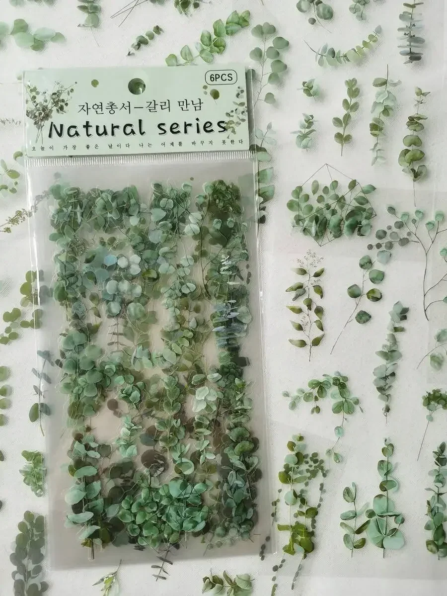 Paquete de 6 pegatinas decorativas impermeables de PVC con diseño de plantas y flores de eucalipto vintage para el regreso a clases