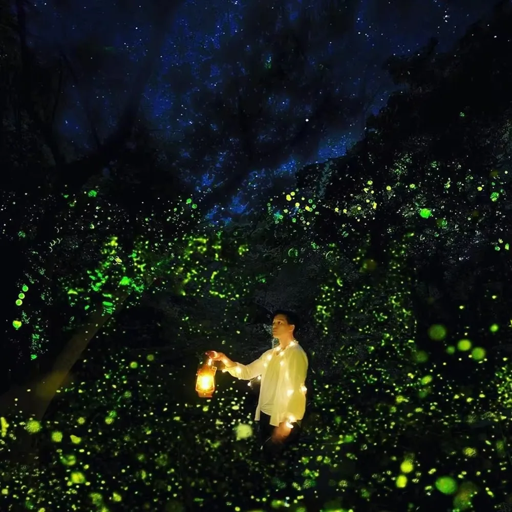 100mv Yellow Vivid Firefly Christmas Laser Lights Outdoor Garden Laser Projector Firefly Laser Projector Lights Outdoor