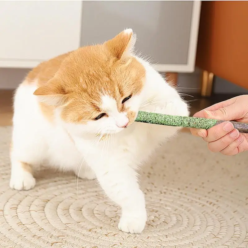 Cat Grass Sticks Pet Snacks Cat Grass Stick Catnip Toys Sticks Indoor Kitten Natural Grass Molar Rod Hairball Removal Increase