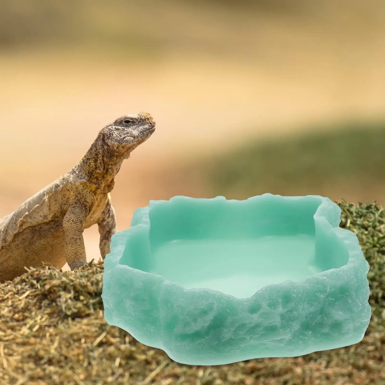 Luminous Reptile Bowl Feeding Plate Small Terrarium Bowls Tortoise Feeder for Hamster Bearded Dragon Snake Scorpion Leopard