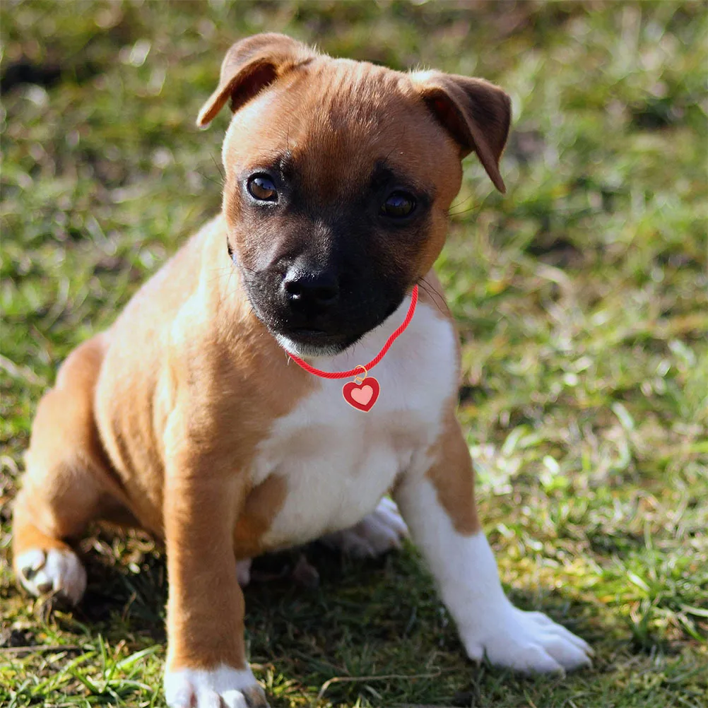 

2Pcs Handmade Adjustable Pet Necklace with Lucky Rope Heart Charm Knitted Cat Dog Jewelry for Small Pets Small Cat Collar