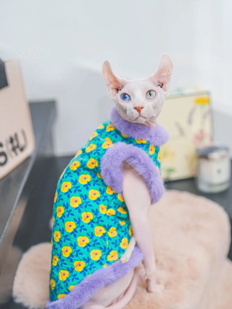 Cats clothing With Fur Collar in Winter Coat for Sphynx Cat Warm Sweatshirt for Kittens soft Loungewear for Female Cat Devon Rex