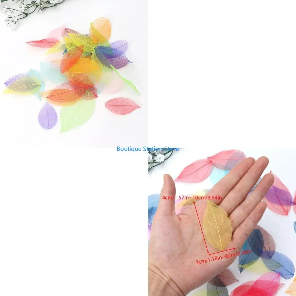 

Y55F 50 Pieces Natural Ficus Religiosa Leaves Exquisite Mixed Colors Skeleton Leaves for DIY Wedding Christmas Decorations