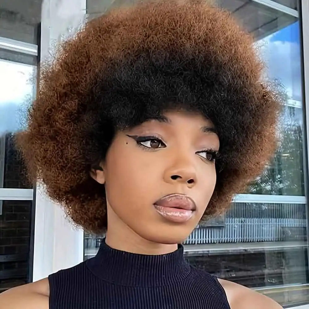 

1bT4 афро Kinky Curly 13x4 Прозрачный кружевной парик Frotnal 180% плотность человеческих волос Remy