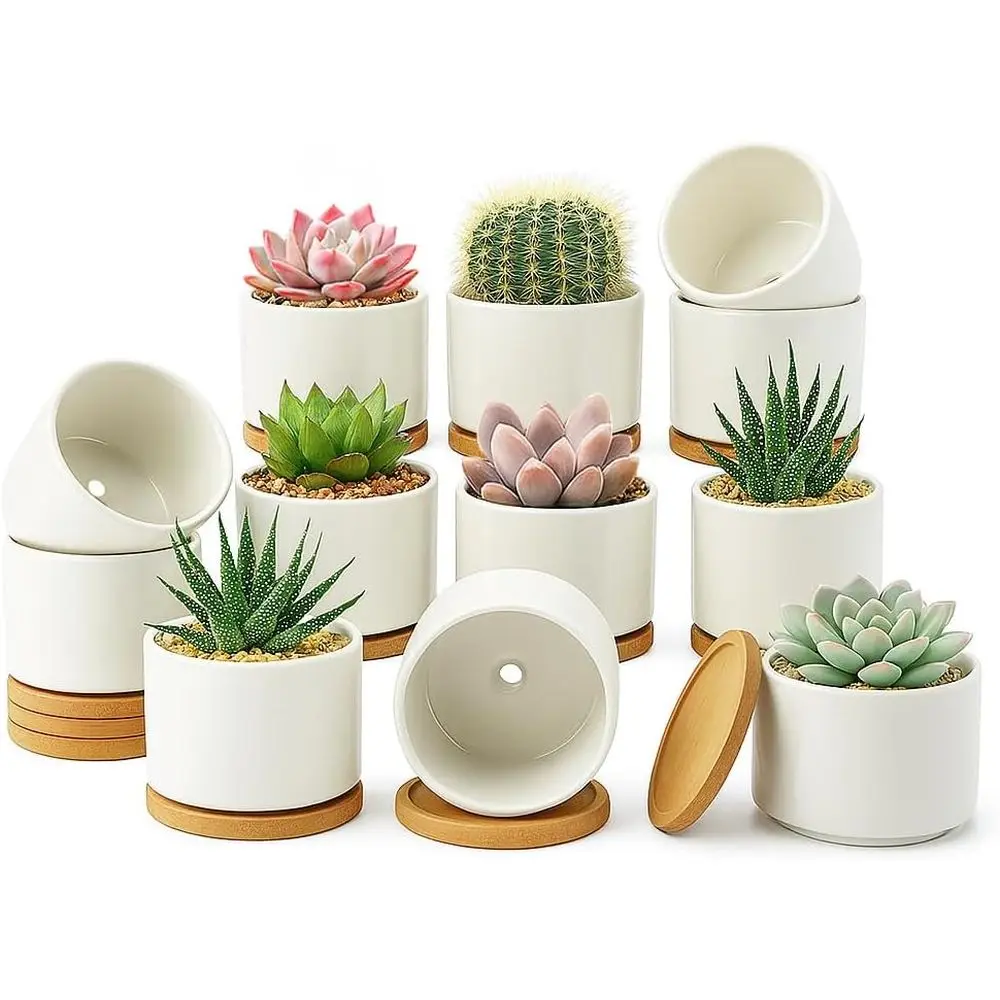 

Набор из 12 горшков для суккулентов 3,6 дюйма с дренажными отверстиями и бамбуковым поддоном для комнатных растений, белые маленькие кашпо, идеально подходят для дома и офиса
