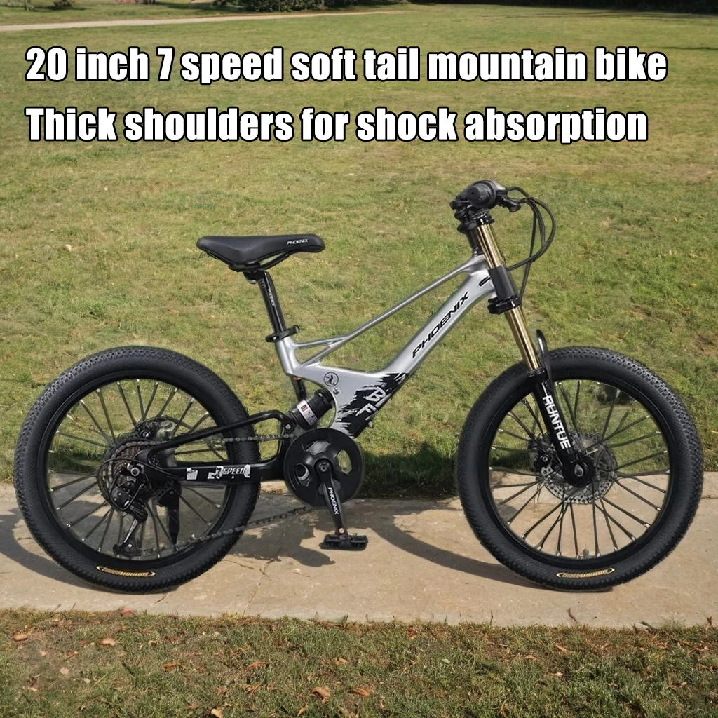 

20-дюймовый горный велосипед MTB для даунхилла, AM, XC, с дисковыми тормозами, 7 скоростей, рама из магниевого сплава, колеса 20 дюймов.