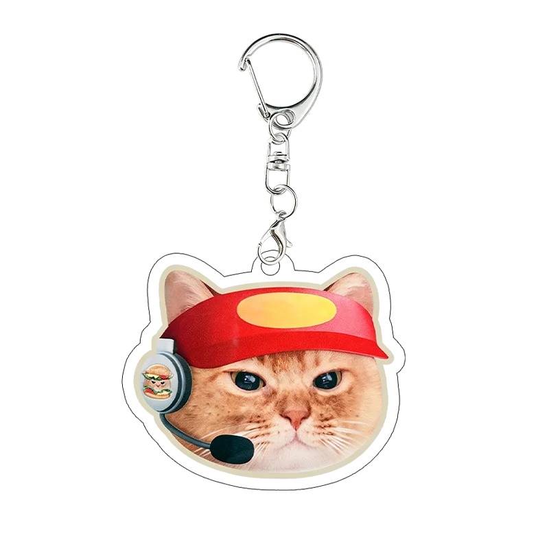 Funny Meme Cat Acrylic Charms Weird Kitten Pocket Ornament Anime Cartoon Kawaii Keychain Key Ring Exquisite Accessories Gift