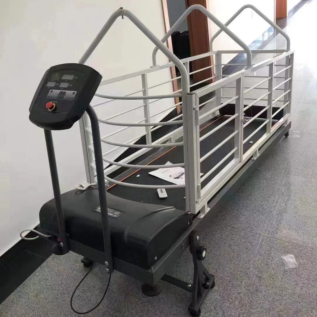 

Dog Treadmill Pet Treadmill Electric Treadmill for Dogs Gree Dog Whippet Ghee