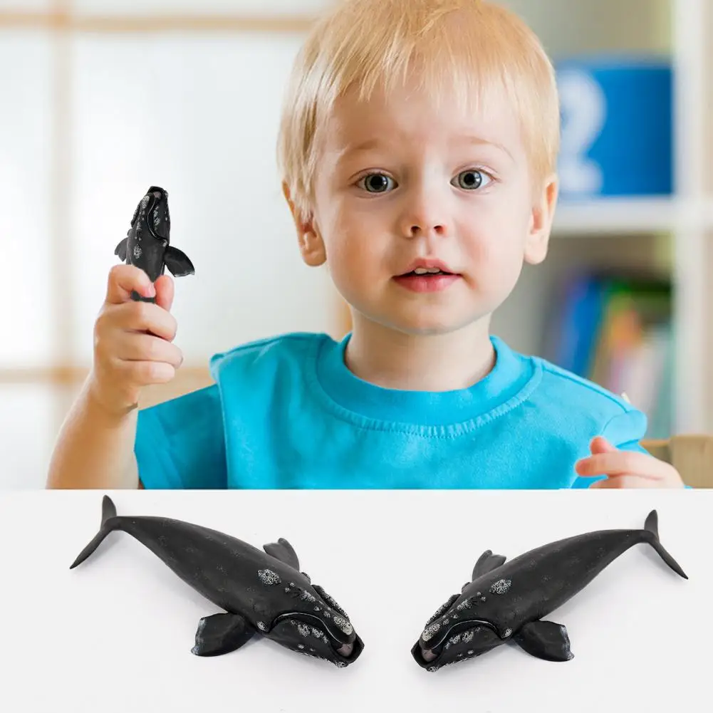 Handmade Whale Model Toddlers Whale Ornament Realistic Right Whale Figurine Sculpture for Kids Educational Ocean Toy for Boys