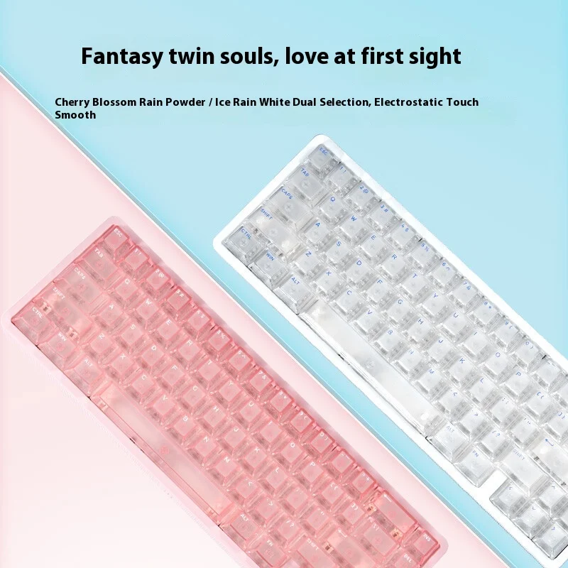 

IPI Rain65 Magnetic Switch Mechanical Keyboard Wired 8000Hz 0.125ms Delay Cnc Shell RGB Hot Swap E-sports Gaming Keyboard Gamer