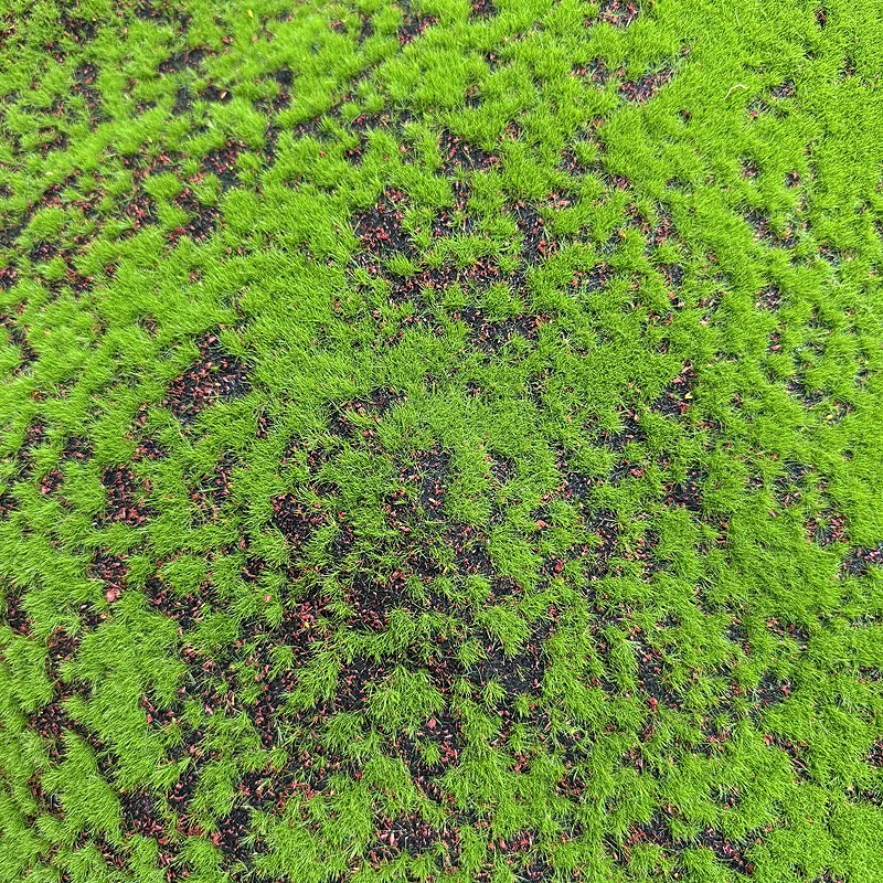 Model trawniku 10*10cm, symulacja pastwiska, mokrej doliny, model mchu, trawa, piaskownica, pogrubiony trawnik 7mm, ręcznie składany model.