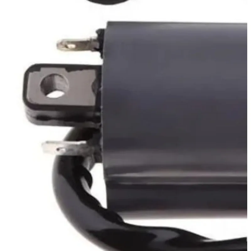 Ignition coil for Buyang 260 260cc 300cc D300 G300 Motor