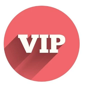 

VIP customized product 4