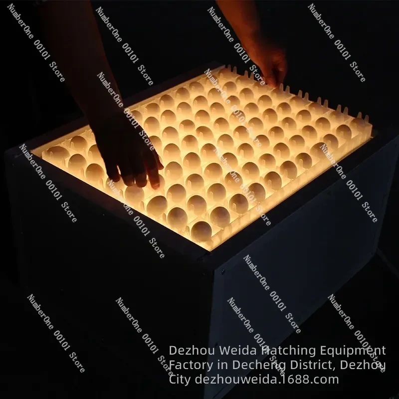 Egg Illuminator Led Cold Light Hatching Machine Egg Inspection Tool Special Equipment For Poultry Incubator Candling Device