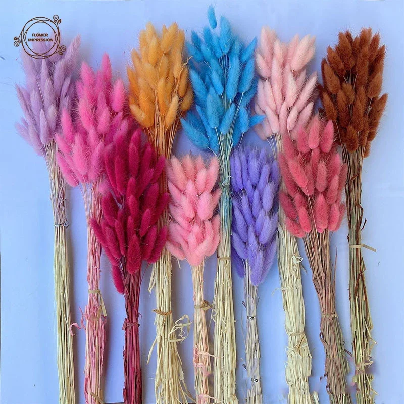 

50PCS Rabbit Tail Dried Flowers Natural Bunny Tails Grass Bouquet Boho Home Decor Lagurus Ovatus Wedding Table Decor Accessories