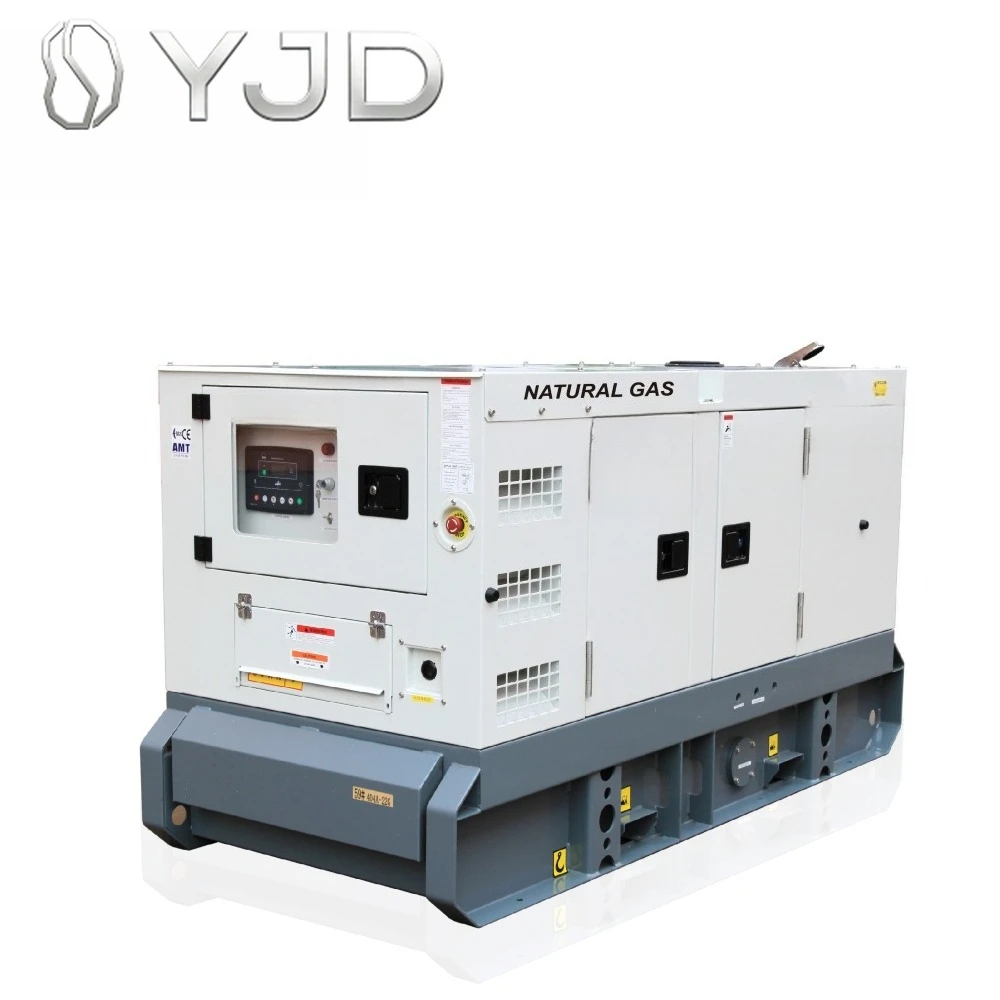 Whole House Backup Generator Natural Gas 32kva Nature Gas Generator 3 Phase 220v with Engine GB3.9-GN Alternator S1L2-K