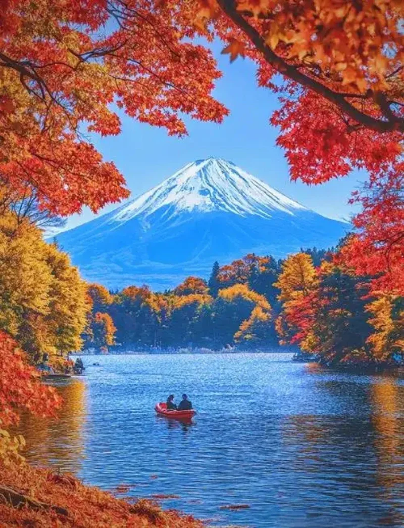 

Hood Bonnet Stripes Side Skirt Trunk Rear Decal Stickers Kit For MINI JCW Clubman F54 ALL4 Cooper S Accessories