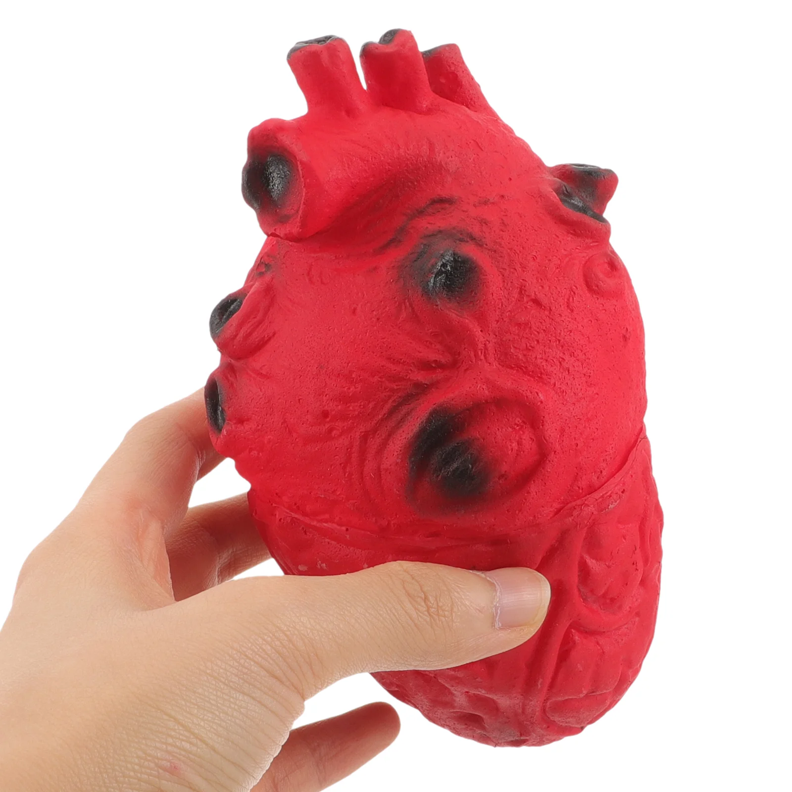 Scary Bloody Simulation Heart Organ Realistic Life Size  Halloween Party Haunted House Decorations Prop