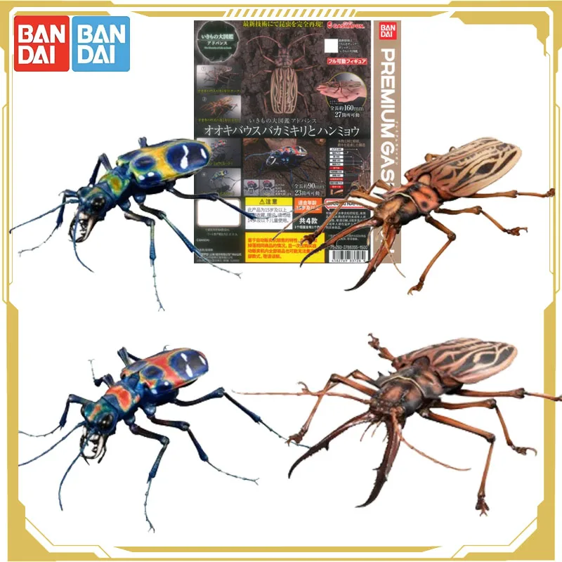 

Bandai Original Gashapon Biology Encyclopedia Anoplophora Longicorn Modeling Doll Action Figure Toys for Boys Girls Kids Gift