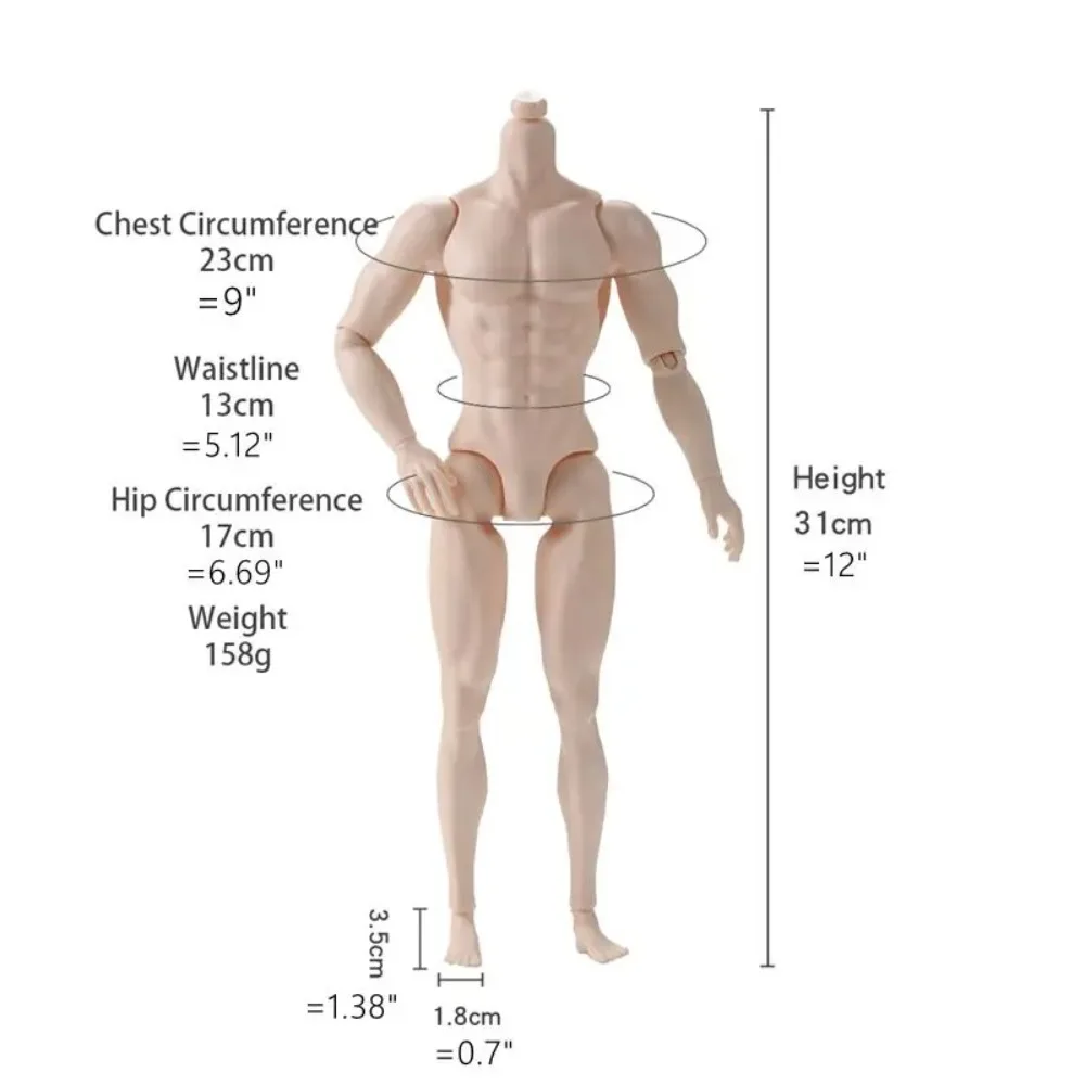 31cm Height 1/6 MJD Boy Body White Normal Tan Skin Male Body 12 Inch Man Dolls Strong Man Doll's Accessories