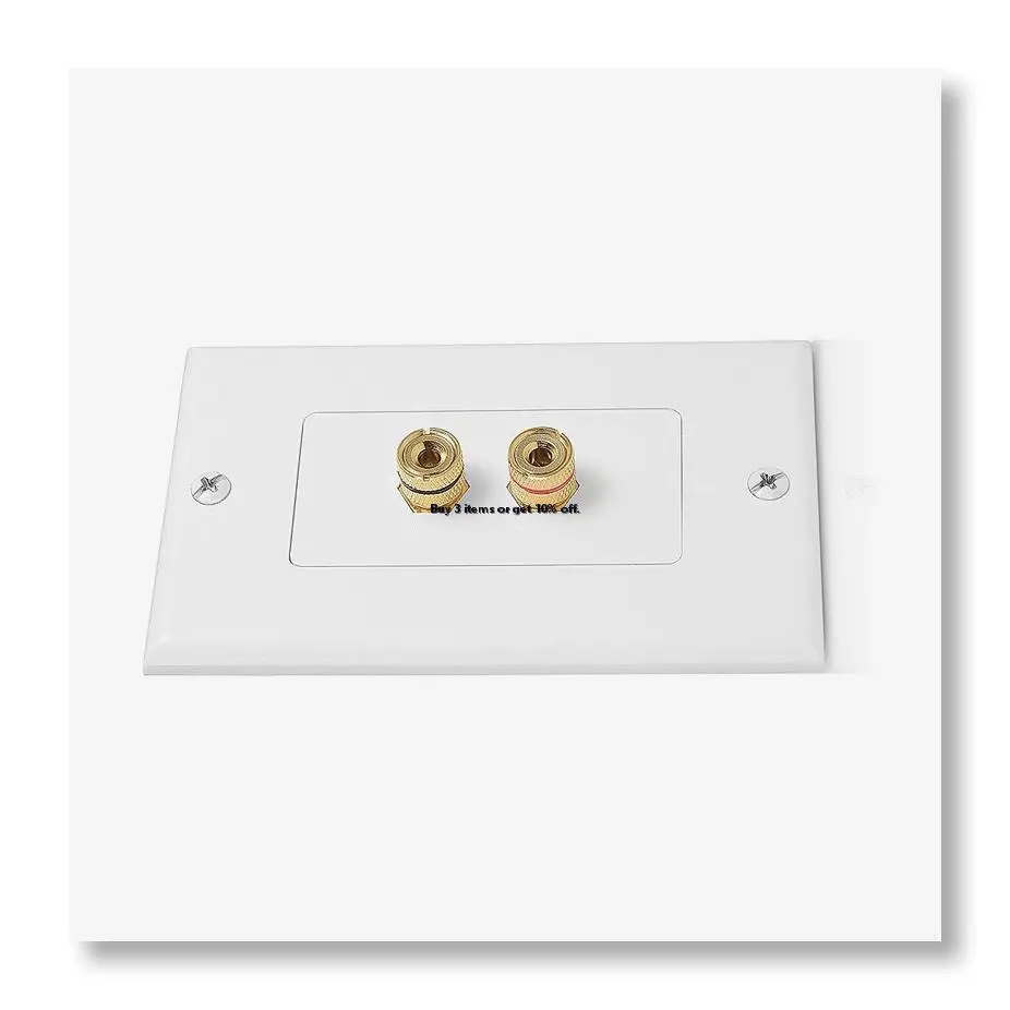 ✱2 Posts Speaker Wall Plate Home Theater Wall Plate Audio Panel for 1 Speakers