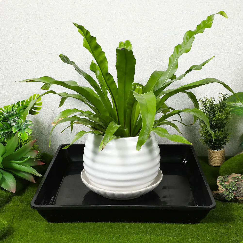 

2 Pcs Flower Pot Tray Plastic Planter Trays Water Drainage Flowerpot for Plants