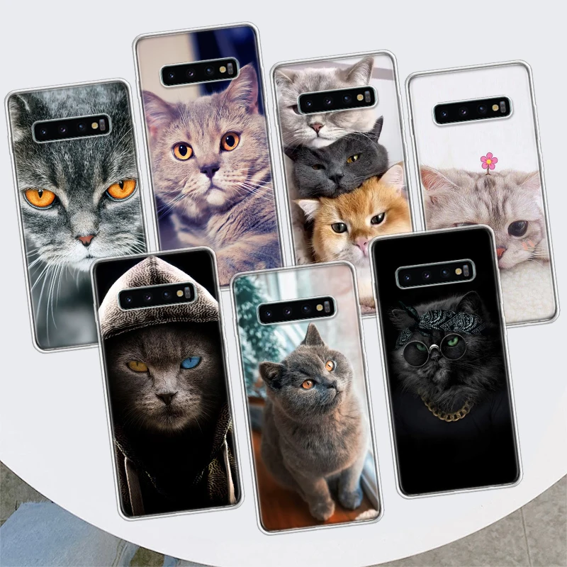 British Shorthair Cat Phone Case For Samsung Galaxy M21 M12 M31S M32 M51 M52 Note 20 Ulte 10 Plus 9 8 J4 J6 + J8 M11 F52 F62