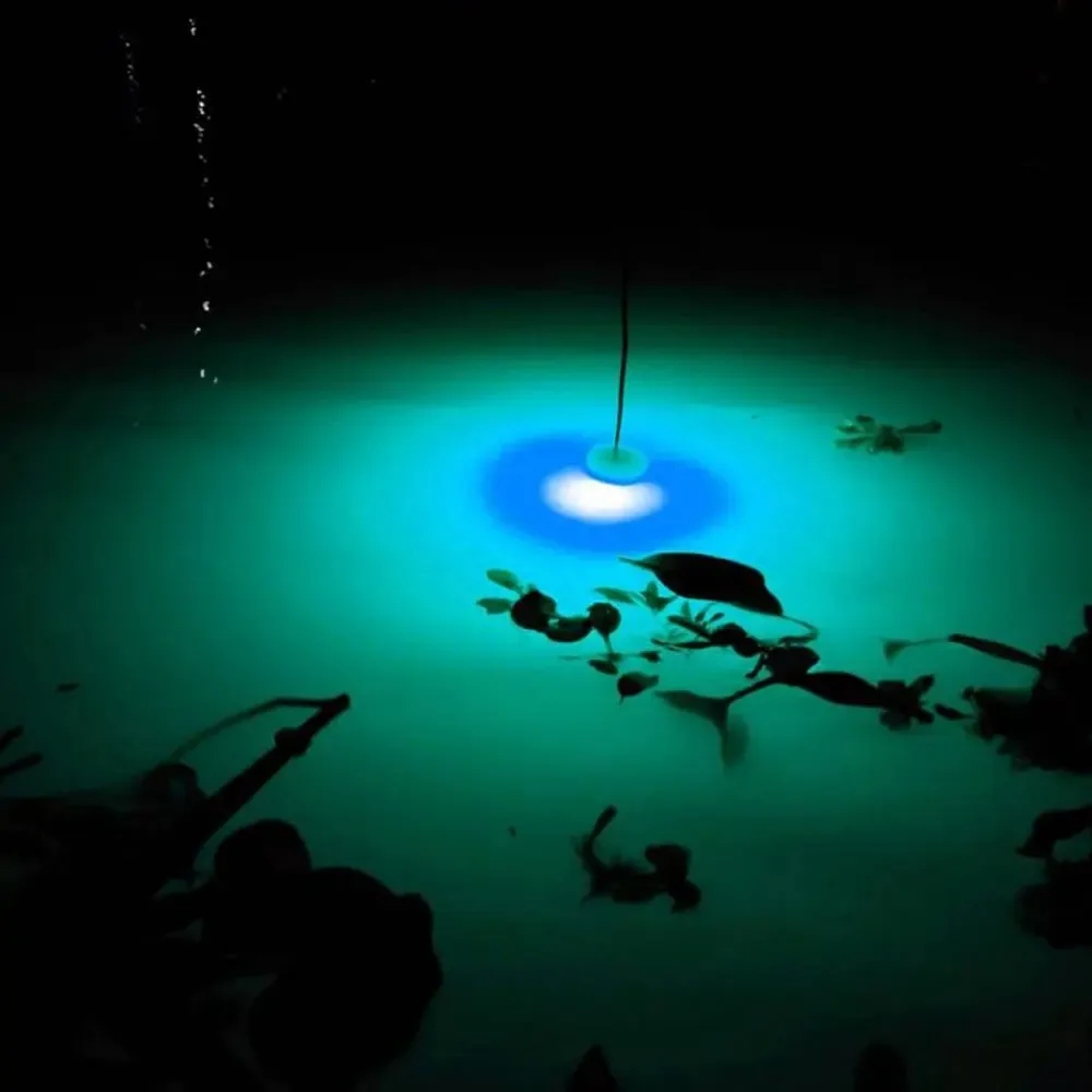 Pesca Subaquática Luz Piscando, Gota Profunda Bait Lure, Projeto Lula Água-Triggered, Peixe Atraindo Lâmpada, Luzes LED Versátil