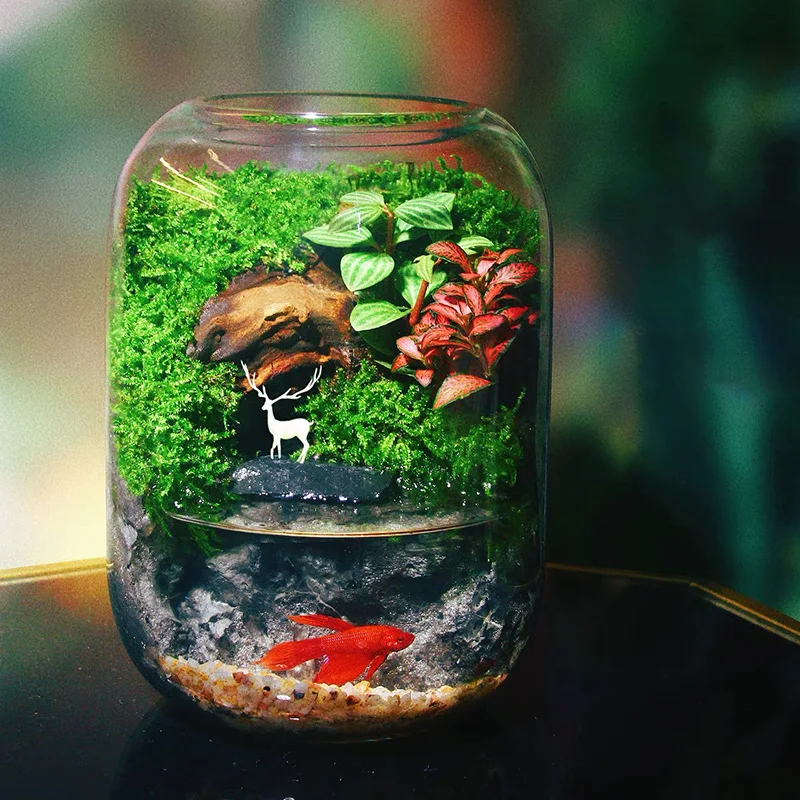 1 Stück, Glasvase, Aquarium, Dekorative Vase, Zuhause, Restaurant, Einkaufszentrum, Büro-Schreibtischausstellung zum Betrachten