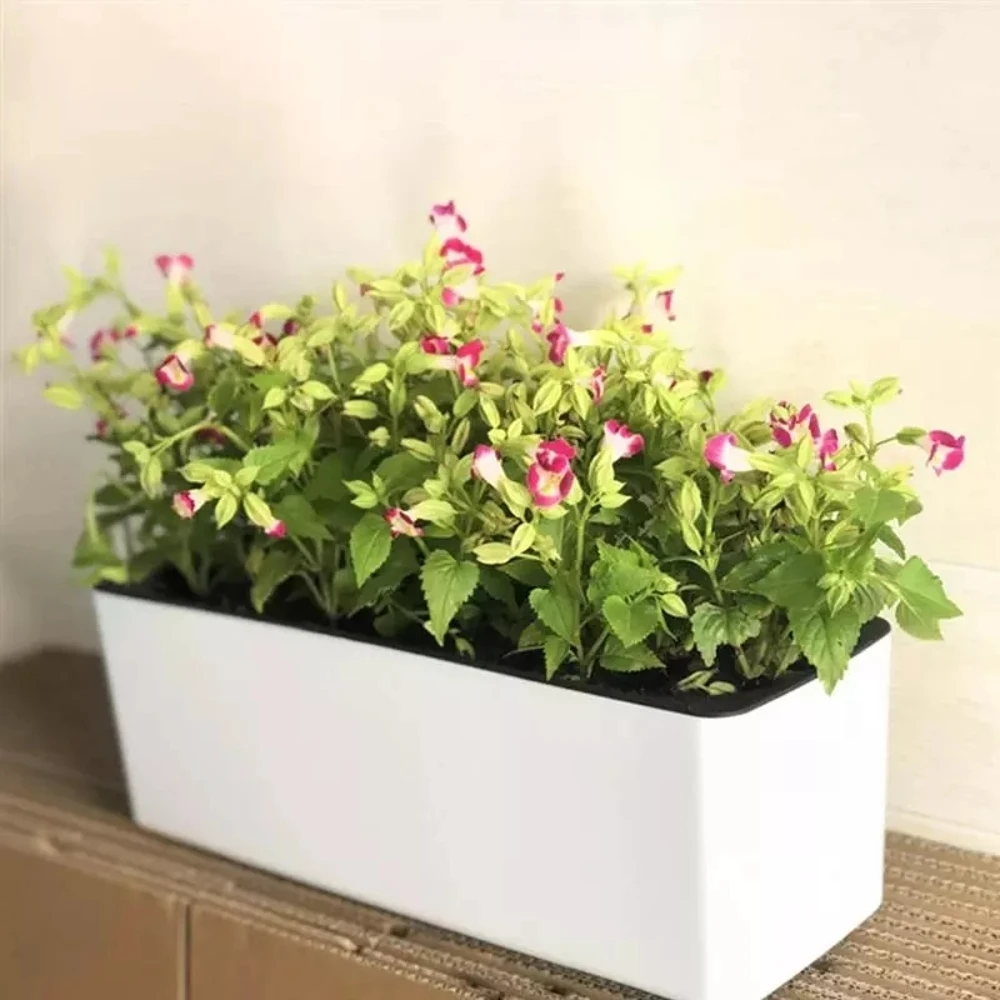 

Rectangular Desktop Office Hotel Automatic Water-Absorbing Lazy Flower Pot Potted Hydroponic Plastic Flower Pot White