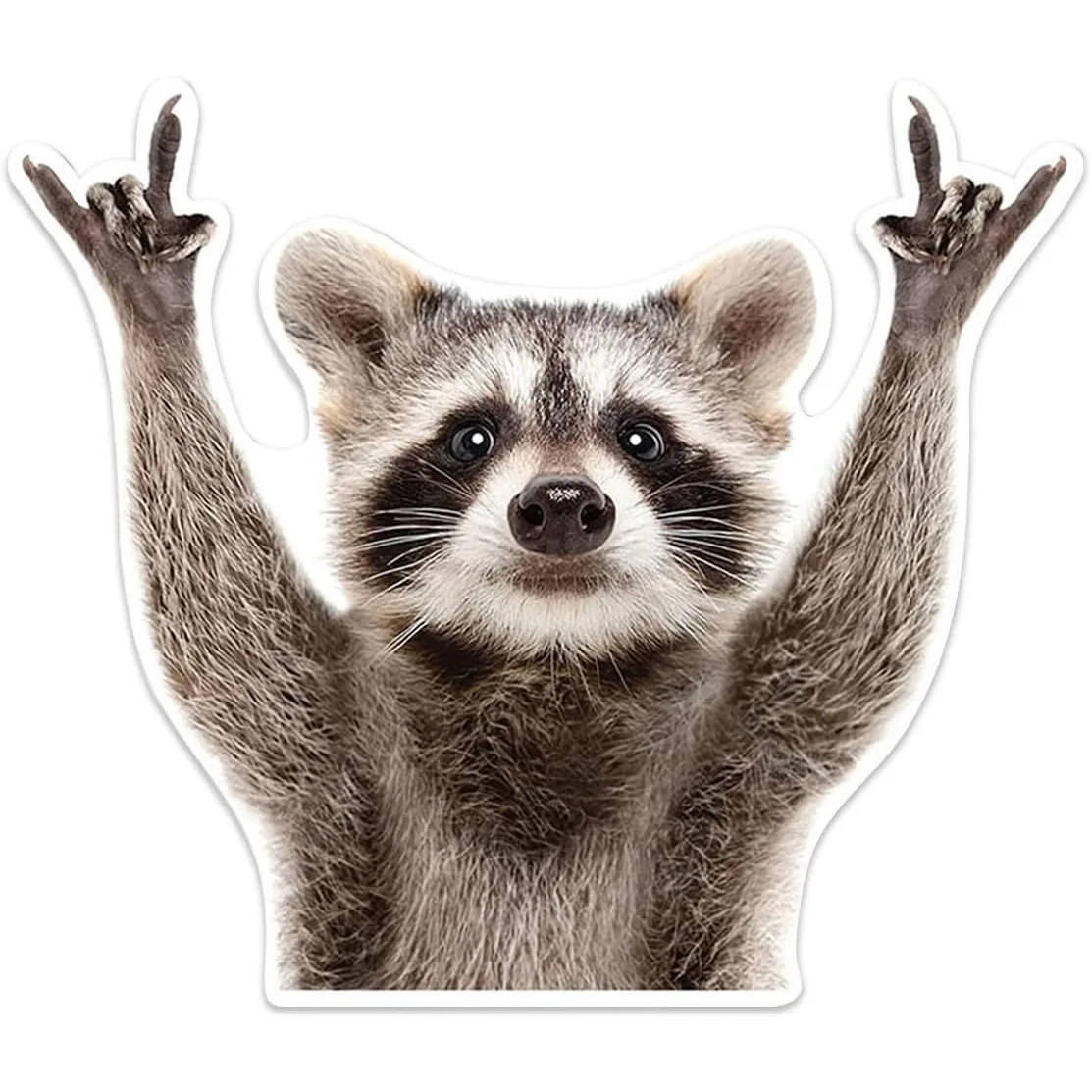 Car Sticker Decal, …