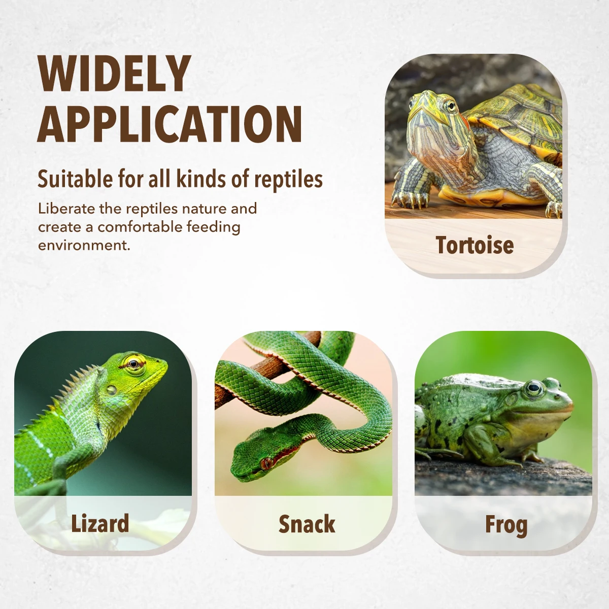 

Reptile Feeding Bowl Resin Safe Food Water Dish for Turtle Lizard Snake Frog Gecko Breeding Tank Vivarium Pet Plate Bowl