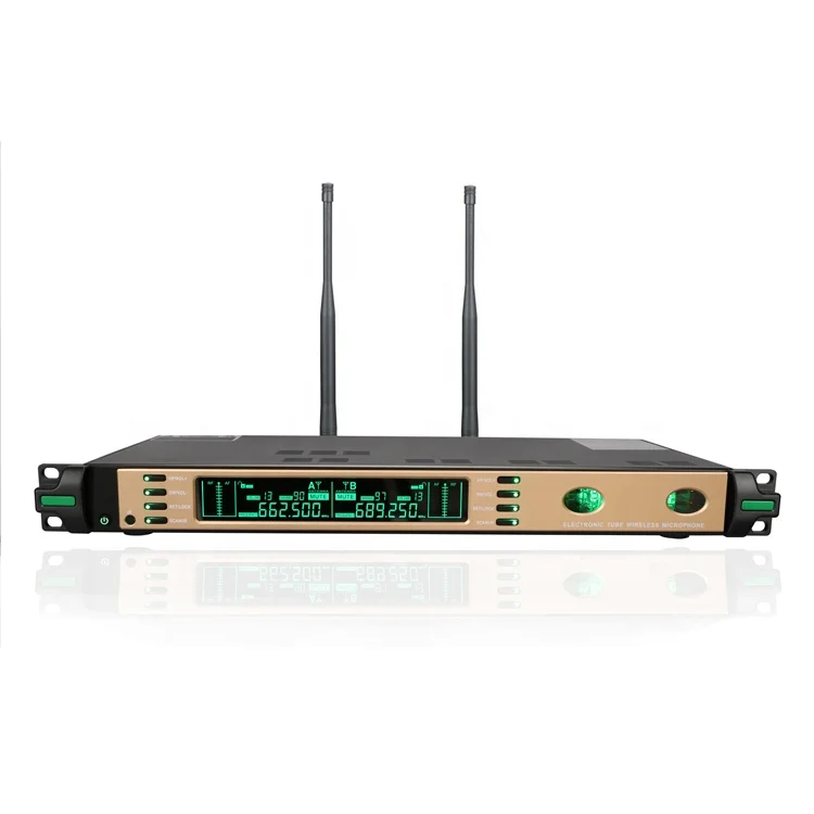 

RIY-06b 2 Channel Professional Tube Electronic Lavalier Wireless Microphone
