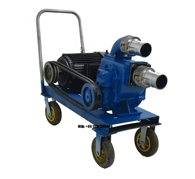 High Lift Self-Priming Sewage Sludge Pump Automatic Strong Fecal Suction Non-Clogging Feature