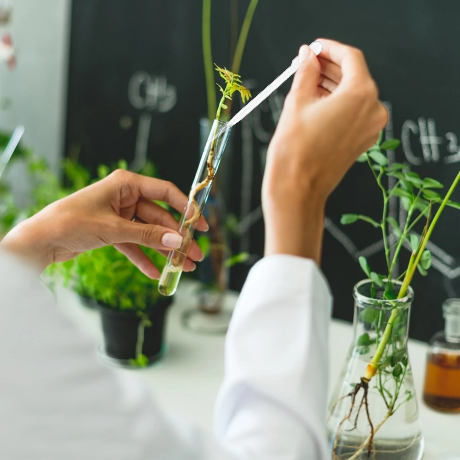 

1Set Sample Bottles Set Plastic Clear Leakproof Airtight Storage Containers Test Pipettes for Laboratory Chemical