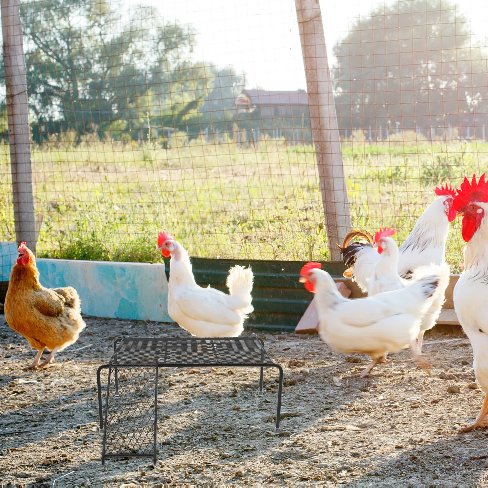 

Iron Wire Chicken Platform Durable Metal Coop Rack Strong Break Resistant Hollow-Out Farmhouse Stand For Small Pets Playing