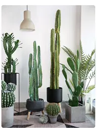 Simulation Cactus Large Plant Decoration Immortal Column Bonsai Floor Window Decoration Living Room Decoration
