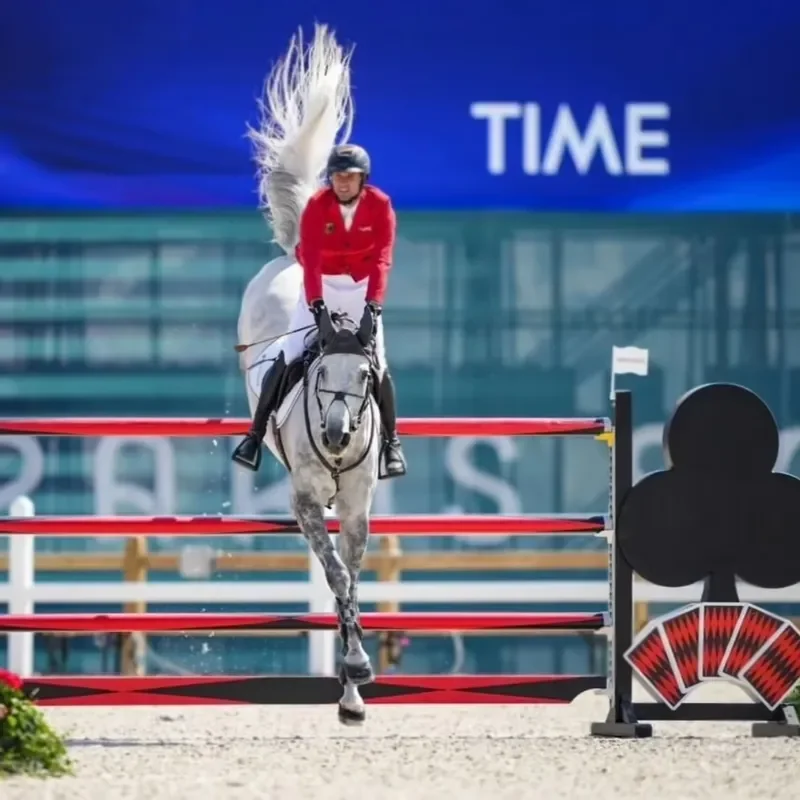 for Versatile Horse Show Jump Equipment with Adjustable Jump Heights for Riding Schools and Club Arenas