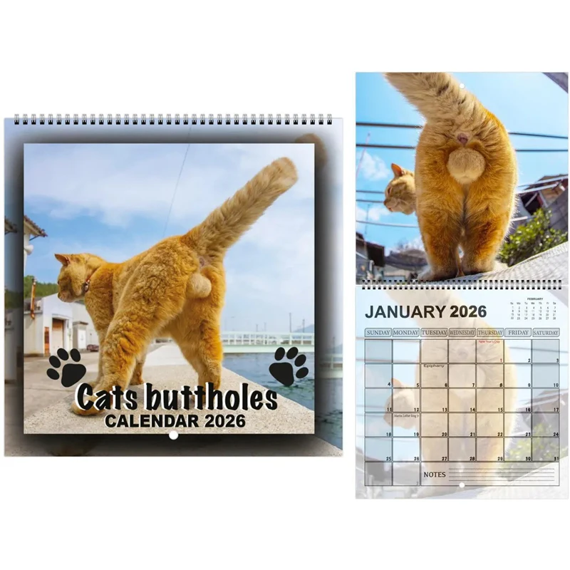 

Funny 2026 Cats Buttholes Calendar - Unique Cat Calendar with Humorous Designs Ideal for Gifting and Home Decor