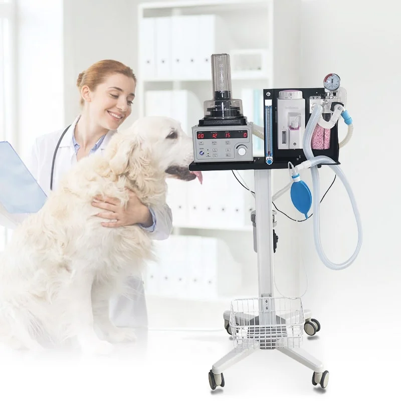 Olive Clinic Portable Vet  Machine Support 0.5-100kg Animals Pet  Machine Veterinary  Machine