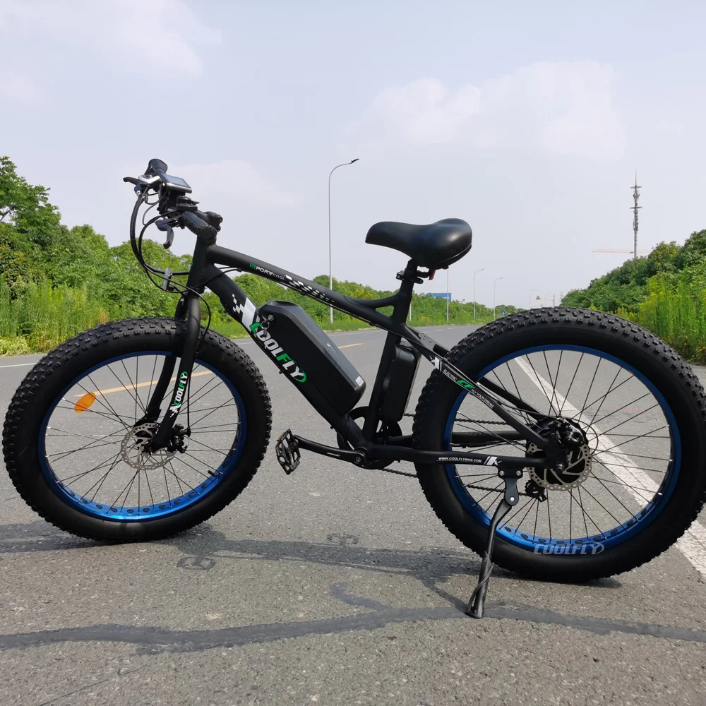 

Ecotric заводская поставка Snow E Cycle Электрический велосипед Классический электронный велосипед для взрослых