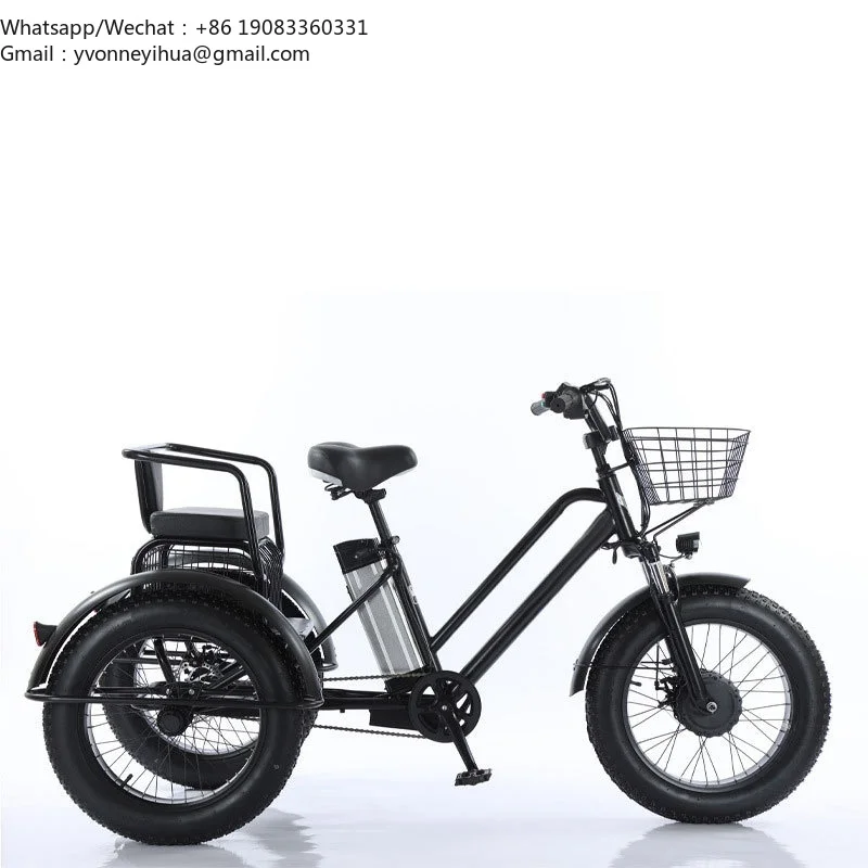 Two Seater Electric Assist Tricycle With Wide, Fat Snow Tires And Pedal Assist Capability.
